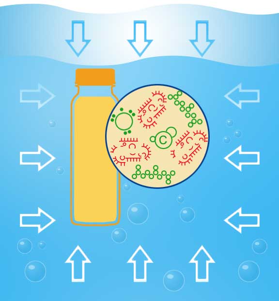 paskalizacja zasada dzialania